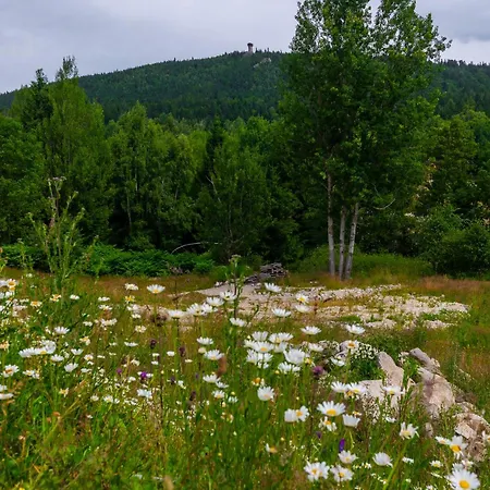 Zeromskiego - Karkonoce 아파트