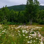 Zeromskiego - Karkonoce Апартаменты