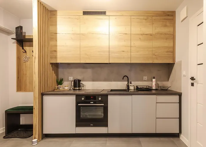 Zeromskiego - Karkonoce Apartment *