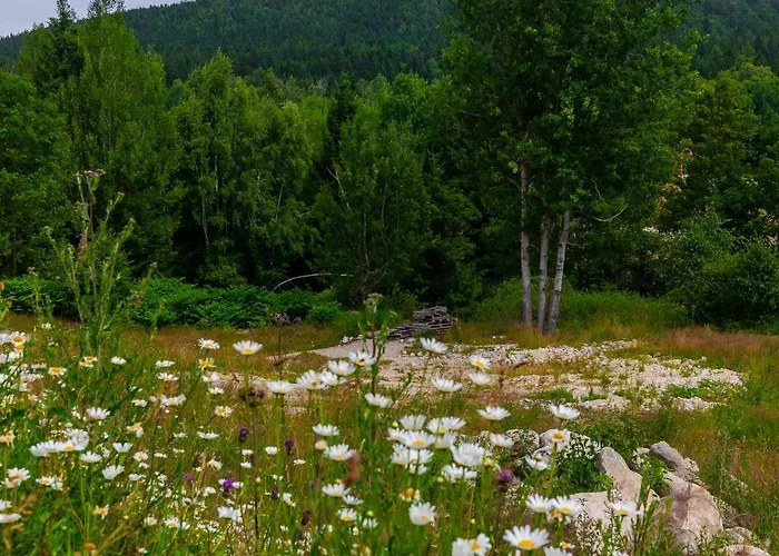 Zeromskiego - Karkonoce Apartment